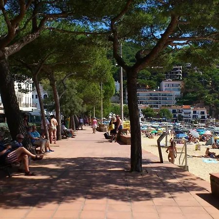 Apartment Anna I Llafranc